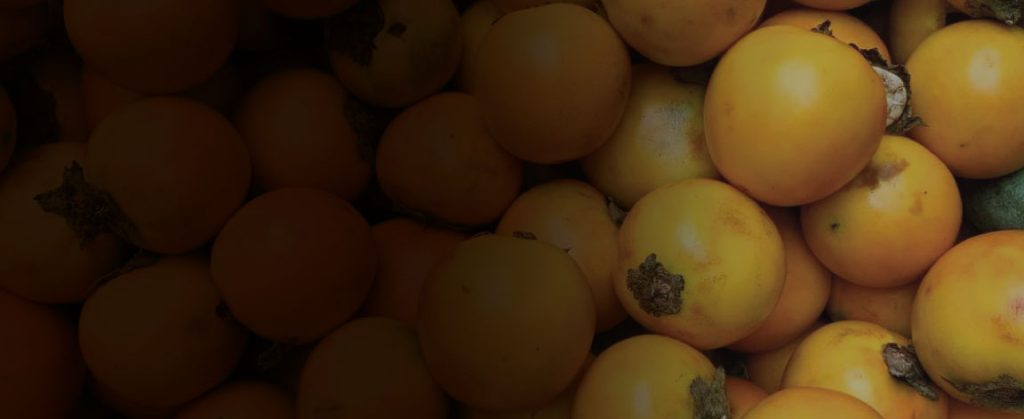 Manejo del cultivo de naranjilla